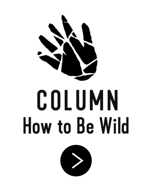 COLUMN How to Be WILD