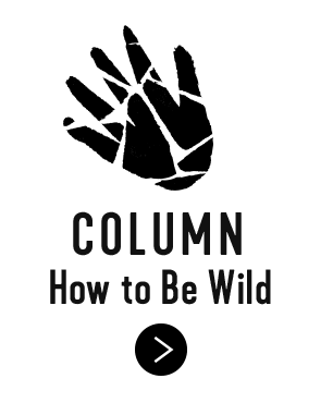 COLUMN How to Be WILD