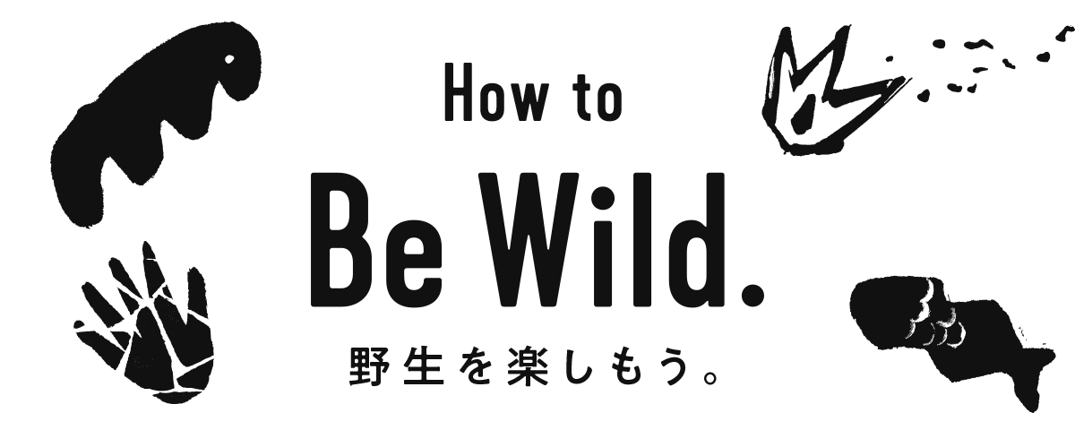 Be Wild 野生を楽しもう